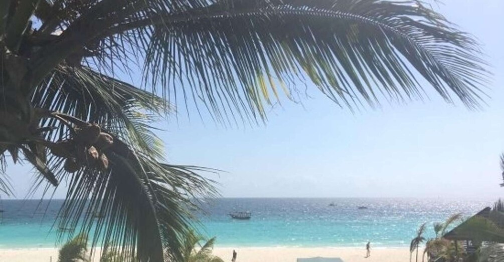 Picture 1 for Activity Zanzibar: 3-Day Mikumi Safari Adventure with Meals 5