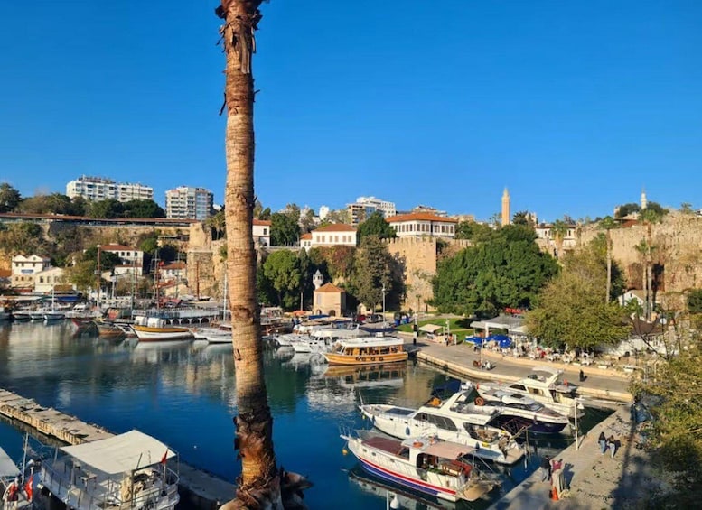 A coastal town with a marina, boats, and historic buildings. 2