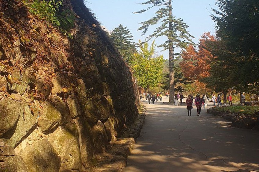 A pathway lined with rocks and trees, with people walking in the distance. 3