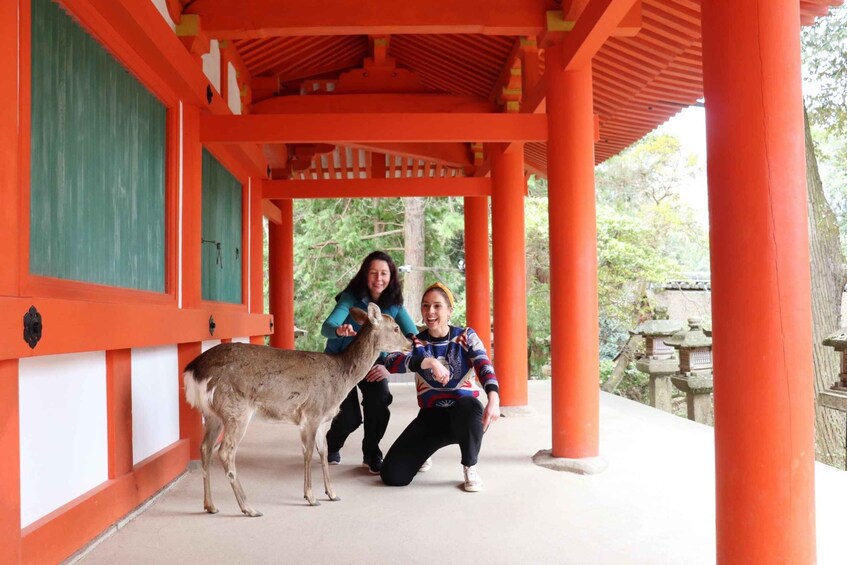 Private Nara Tour & Sake Tasting (Departing from Kyoto/Nara) 1