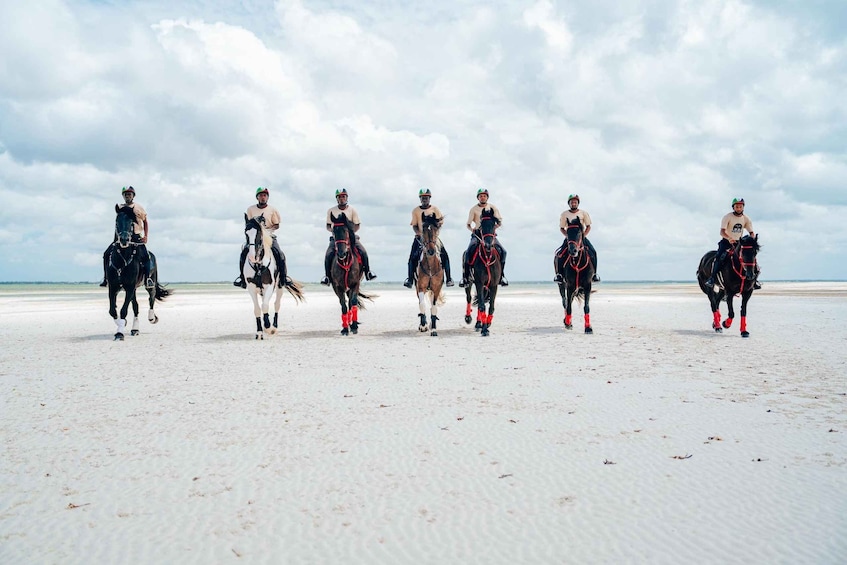 Picture 1 for Activity Zanzibar: Beach Horseback Ride 1