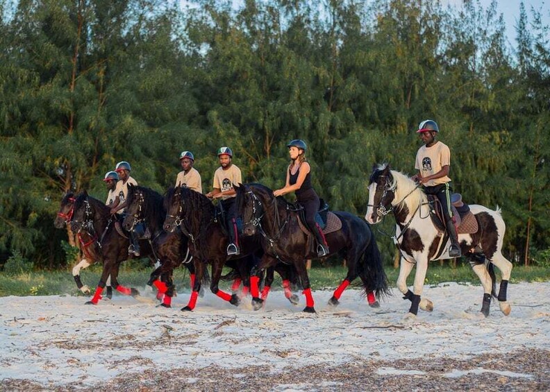 Picture 9 for Activity Zanzibar: Beach Horseback Ride 2