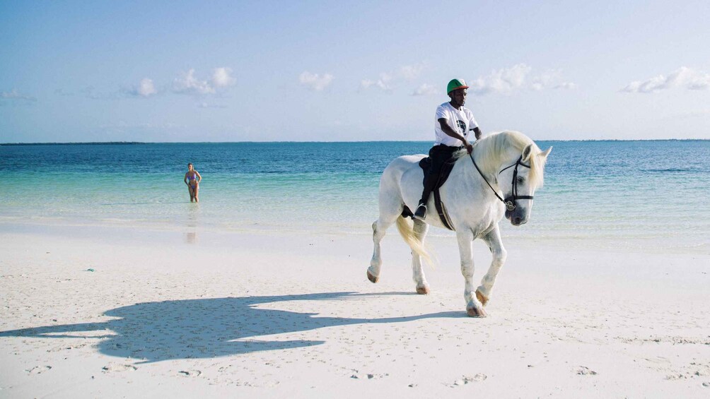 Picture 4 for Activity Zanzibar: Beach Horseback Ride 3