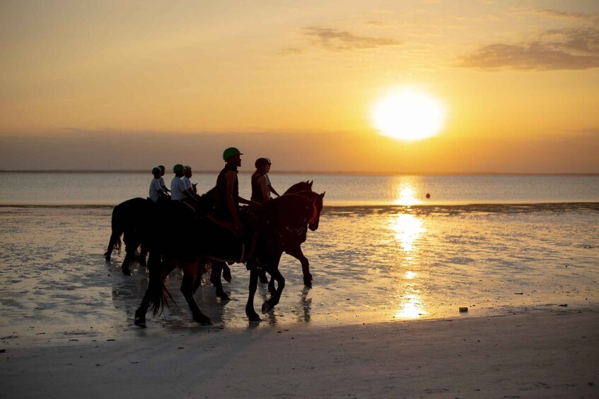 Zanzibar: Beach Horseback Ride 4