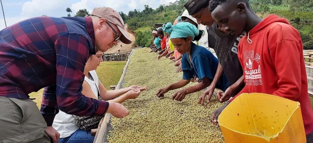 Sidama & Yirgacheffe Coffee Adventure – 4 Days 1