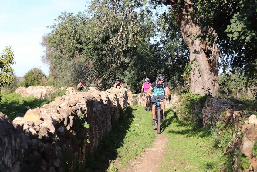 Picture 2 for Activity Algarve: E-Mountain Bike Tour with Waterfall & Villages 3