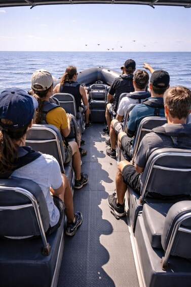 Picture 2 for Activity Ballito: Ocean Marine Safari 2
