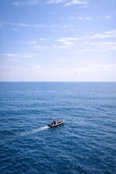 Picture 1 for Activity Ballito: Ocean Marine Safari 3
