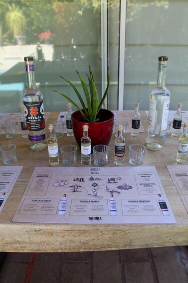 Picture 6 for Activity Querétaro: tasting de mezcales artesanales y ancestrales SJR 4