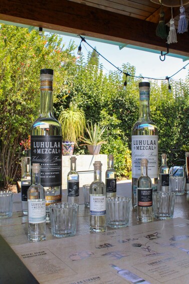 Querétaro: tasting de mezcales artesanales y ancestrales SJR 1