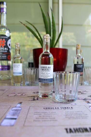 Picture 5 for Activity Querétaro: tasting de mezcales artesanales y ancestrales SJR 2