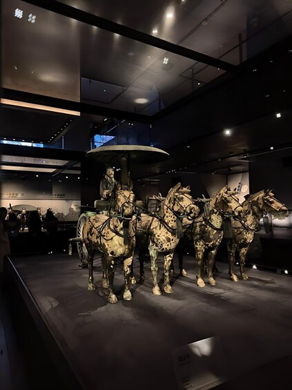 Picture 1 for Activity Terracotta Warriors, Huaqing & Show 2