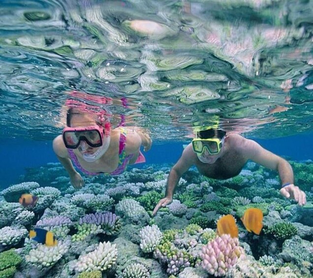 Picture 13 for Activity Mnemba Atoll: Dolphin Swim, Coral Reef Snorkeling & Sandbank 2