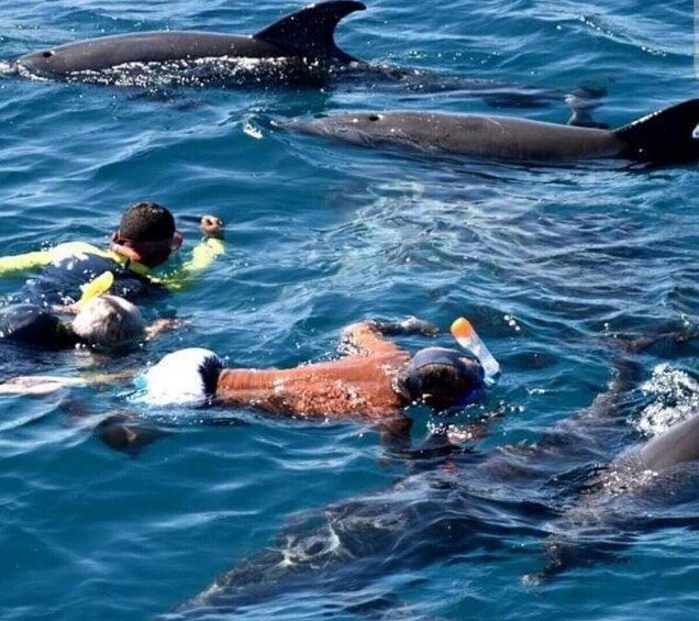 Picture 10 for Activity Mnemba Atoll: Dolphin Swim, Coral Reef Snorkeling & Sandbank 5