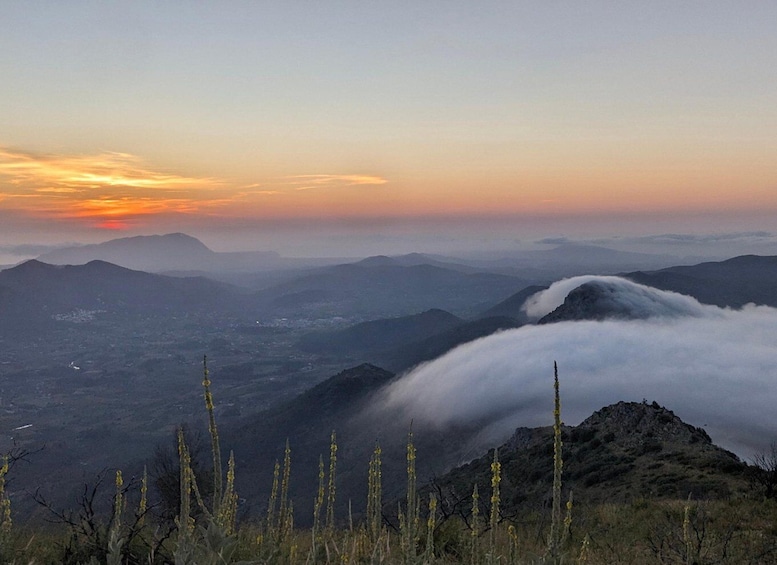 Picture 2 for Activity Costa Blanca: Sunrise Trek with Packgoats and Breakfast 5