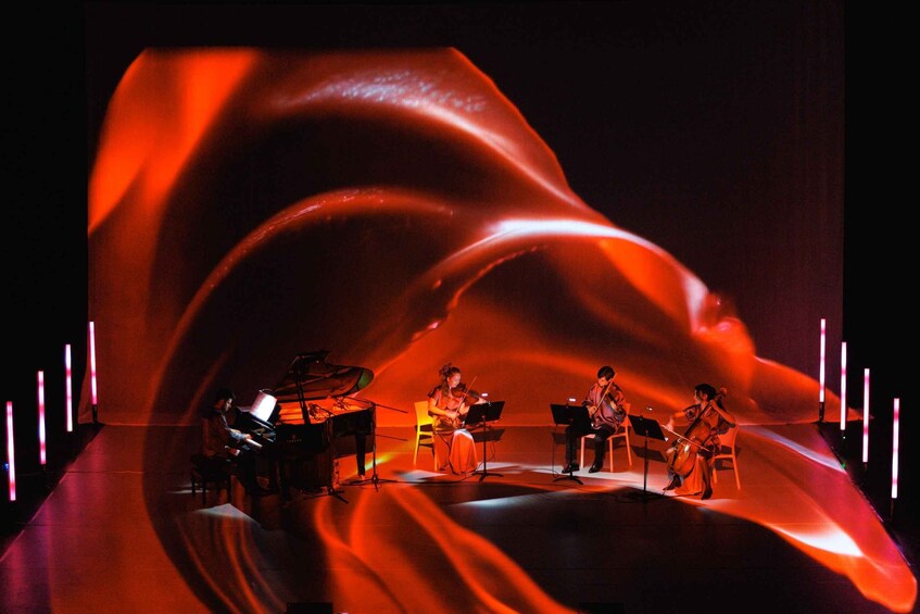 ✨Immersive Light and Music Show in Calpe I Under The Tree 1