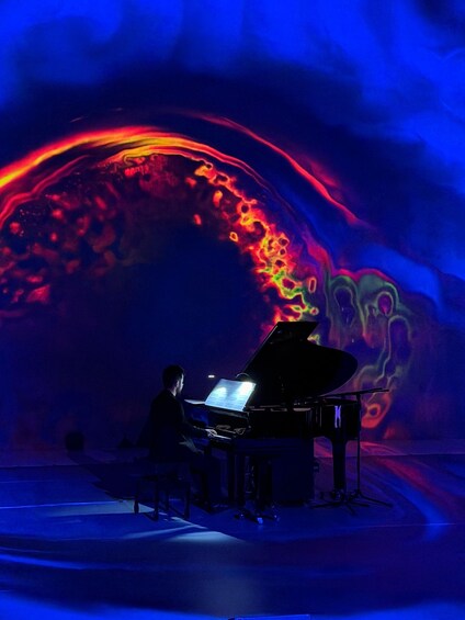 Picture 11 for Activity ✨Immersive Light and Music Show in Calpe I Under The Tree 3