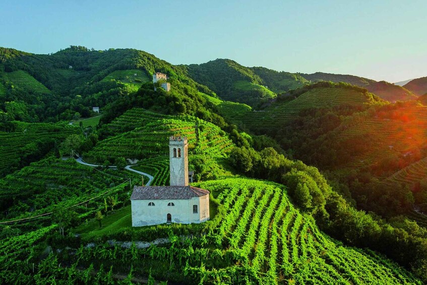 Picture 7 for Activity Prosecco Hills Defender Adventure with DOCG Wine Tasting 3
