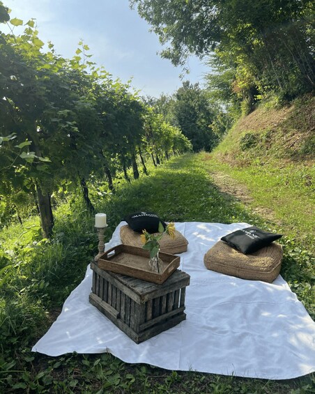 Picture 8 for Activity Prosecco Hills Defender Adventure with DOCG Wine Tasting 4