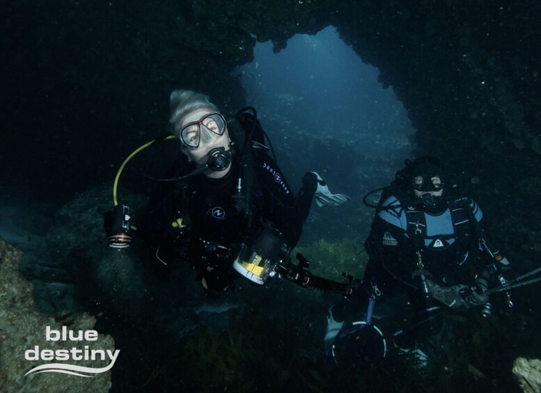 Picture 2 for Activity From Fremantle: Rottnest Island Snorkeling & Diving Day Trip 4