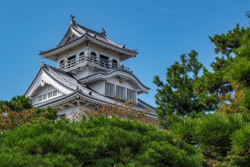 Picture 1 for Activity Shiga: Nagahama Castle, Gateway to Japan’s Great Unifier 5