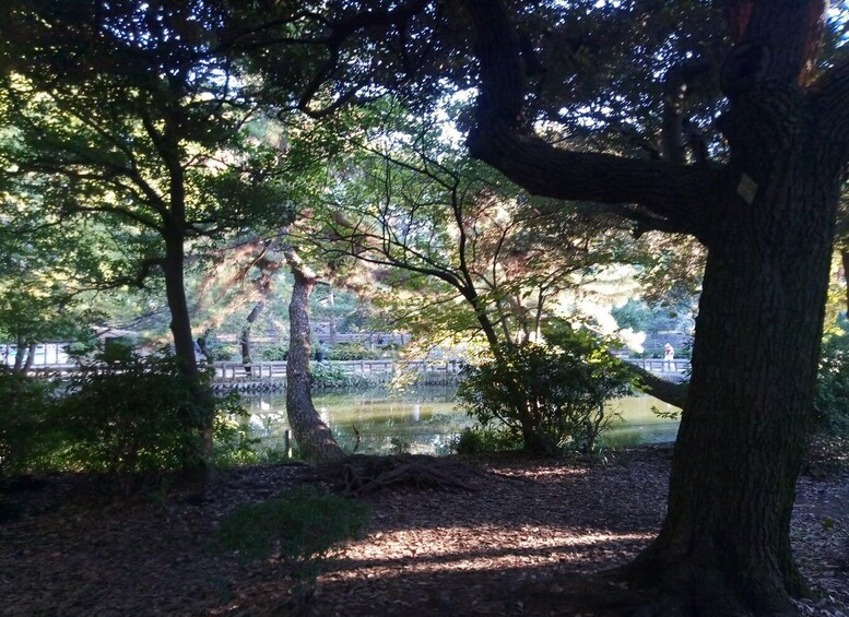 Picture 1 for Activity Tokyo: Shakujii Park Walking Tour with Snacks, Meal & Museum 4