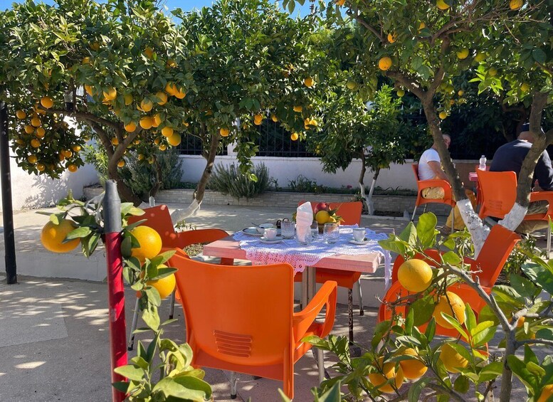 Fier: Farm-to-table Cooking Class With Wine & Raki Tasting 1