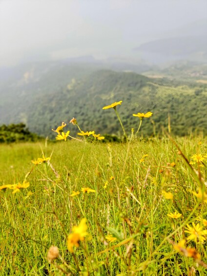 Picture 3 for Activity From Mumbai: Sondai Fort Guided Trek with Meals & Transfers 2