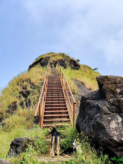 Picture 6 for Activity From Mumbai: Sondai Fort Guided Trek with Meals & Transfers 3