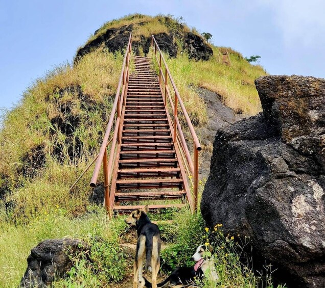 Picture 1 for Activity From Mumbai: Sondai Fort Guided Trek with Meals & Transfers 5