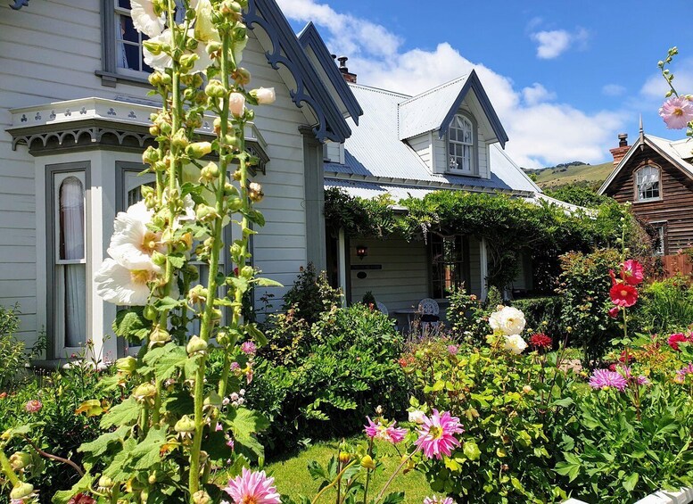 Picture 2 for Activity Christchurch: Akaroa & Alpaca Farm Tour with Lunch 2