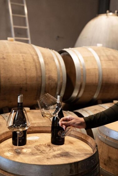 Picture 1 for Activity Poreč: Saints Hills Winery Tasting Experience 5