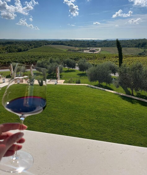 Picture 4 for Activity Poreč: Saints Hills Winery Tasting Experience 2