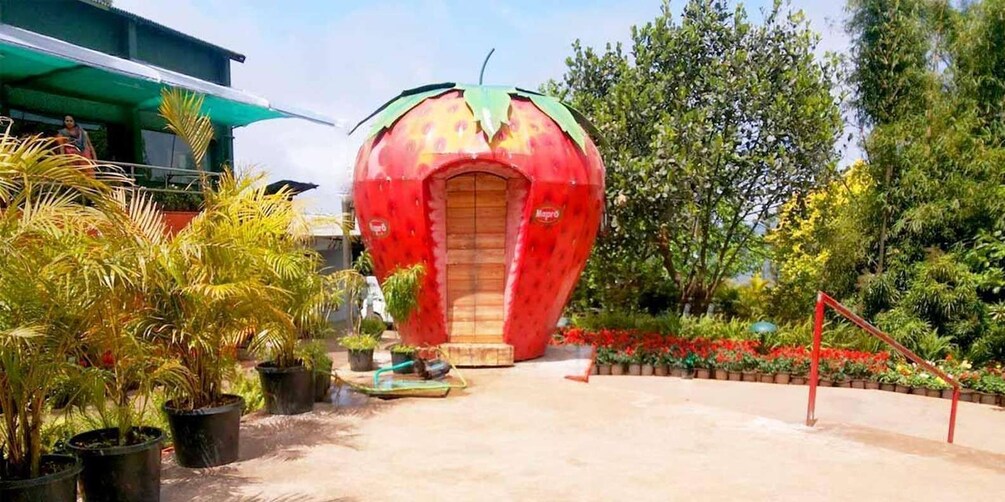 Picture 3 for Activity Mumbai/Pune: 4-Day Mahabaleshwar Hill Station Tour 5