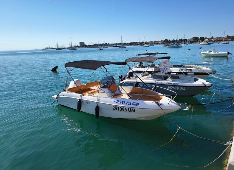 Picture 11 for Activity Umag: Private tour with speedboat, 2 hours of pure enjoyment 1