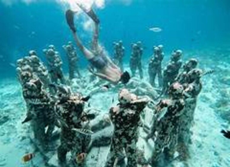 A diver swimming among coral formations. 4