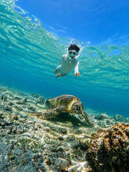 A person snorkeling underwater with a sea turtle on the ocean floor. 2