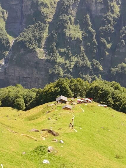 Picture 8 for Activity French Alps Fer-à-Cheval Valley Hiking Tour with Lunch 2