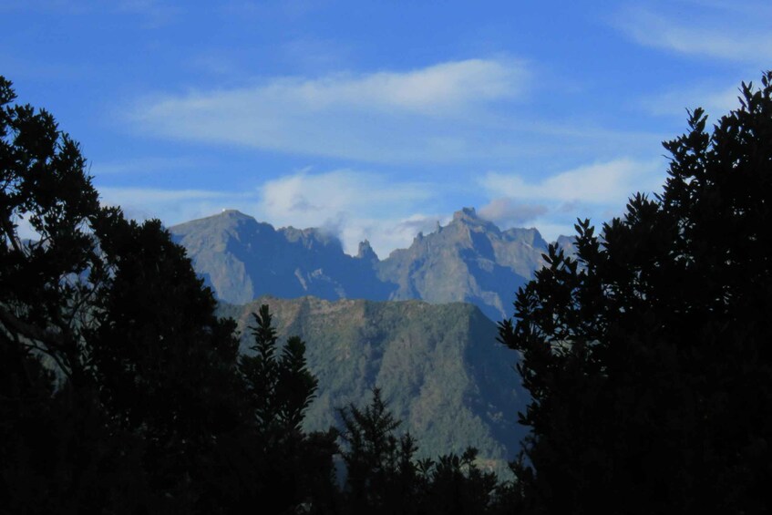 A mountain range with dense forest in the foreground and a clear sky. 5