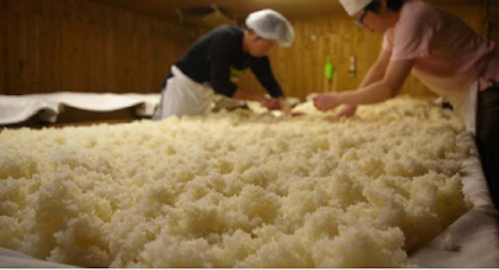 Picture 4 for Activity Miyagi: Hagino Sake Brewery Tour and Tasting 5