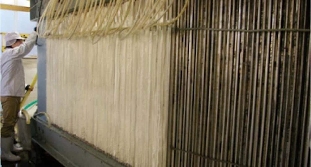 Picture 6 for Activity Miyagi: Hagino Sake Brewery Tour and Tasting 4