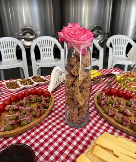 Picture 2 for Activity Gjirokaster: Vineyard & Wine Tasting Experience 2