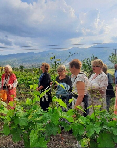 Gjirokaster: Vineyard & Wine Tasting Experience 1