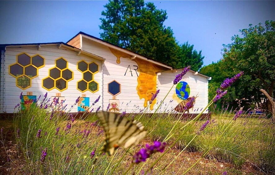 Picture 1 for Activity Pula: Discover the World of Bees – Guided Tour at Bee Park 5