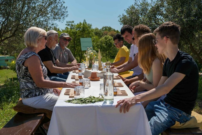 Picture 3 for Activity Pula: Discover the World of Bees – Guided Tour at Bee Park 3