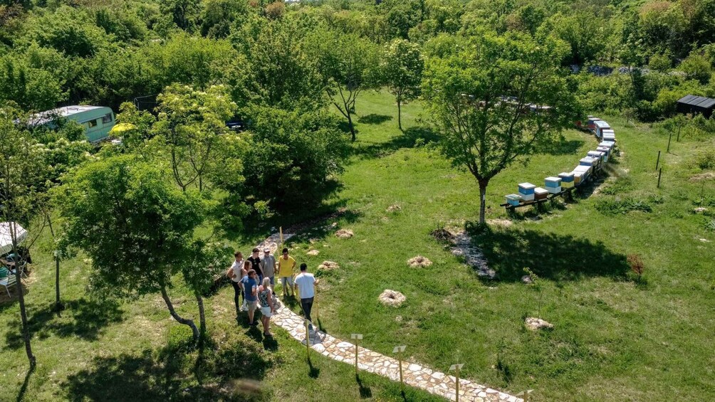 Picture 6 for Activity Pula: Discover the World of Bees – Guided Tour at Bee Park 2