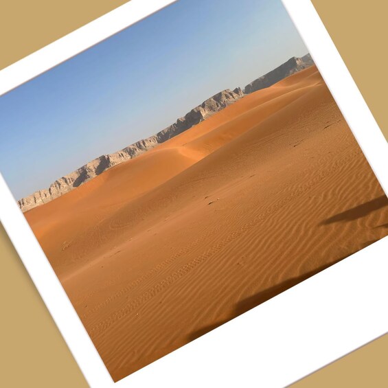 Picture 4 for Activity Riyadh : Sand Dune Desert Camel Ride + ATV ( Guide Bike ) 4