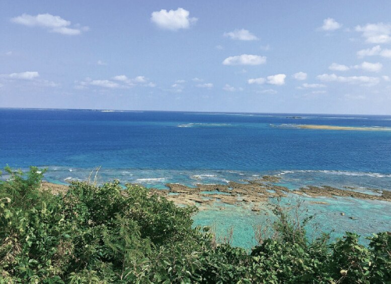Picture 1 for Activity Okinawa: Cruise Shore Excursion with Port Pickup (Group） 5