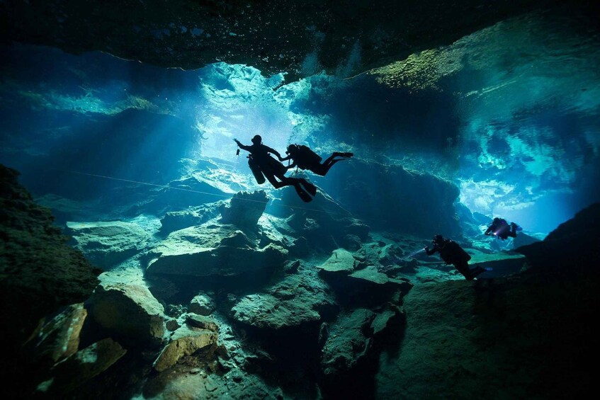 Picture 2 for Activity Playa Del Carmen: Cenotes Kukulkan & Little Brother Diving 2