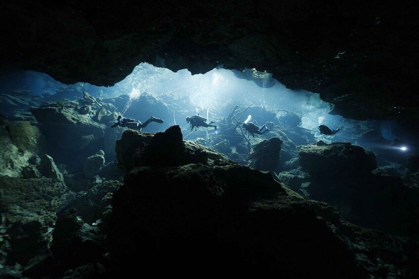 Playa Del Carmen: Cenotes Kukulkan & Little Brother Diving 1
